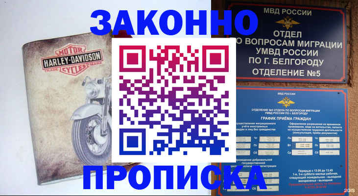 прописка для школы в Новом Осколе